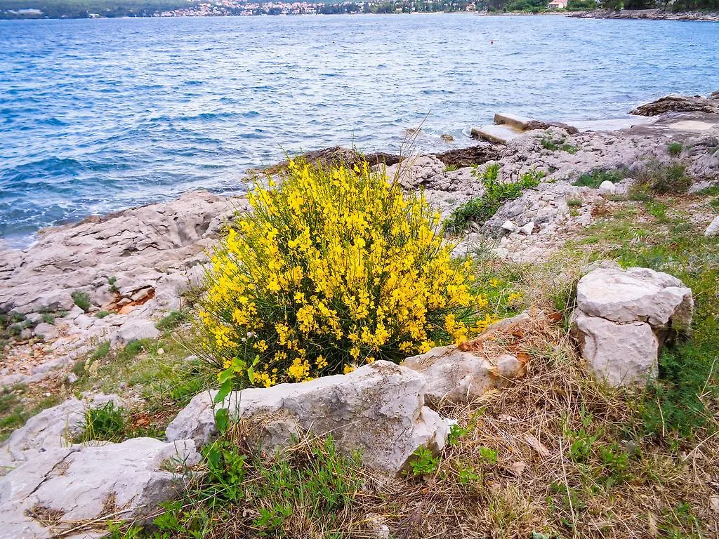 Apartments And Rooms Kod Keti Malinska Croatia